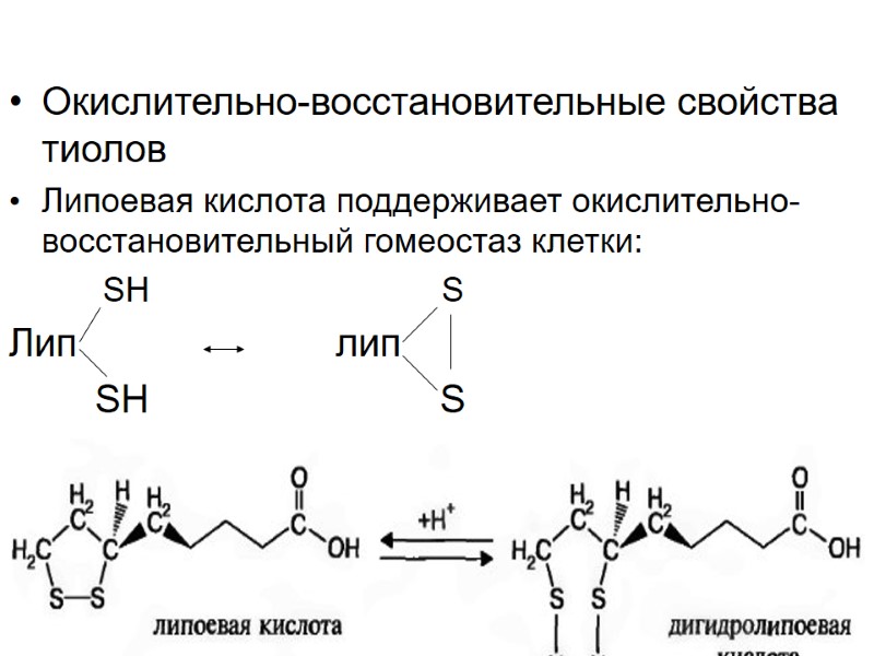 Окислительно-восстановительные свойства тиолов Липоевая кислота поддерживает окислительно-восстановительный гомеостаз клетки:     